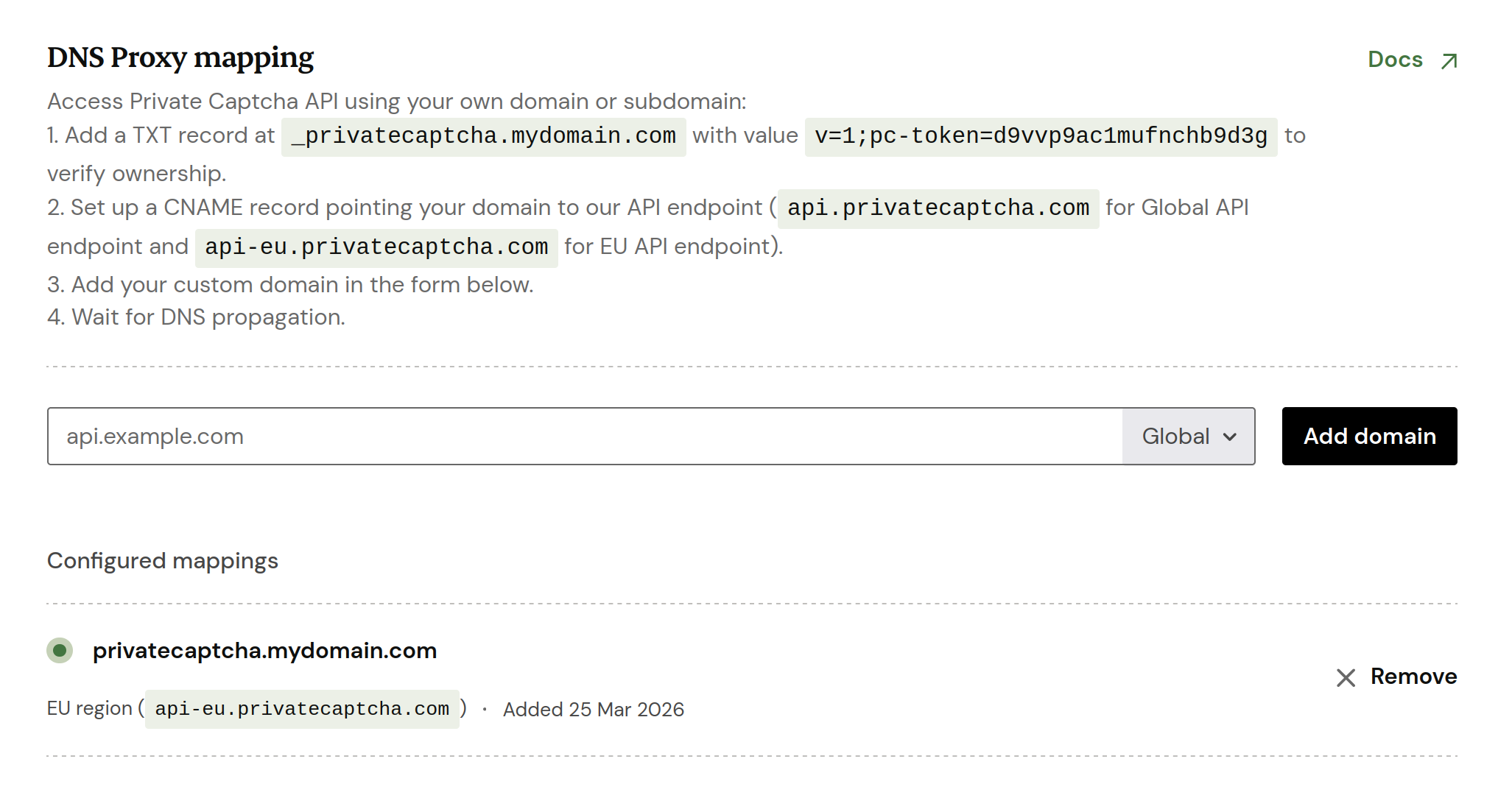 DNS proxy setup in private captcha